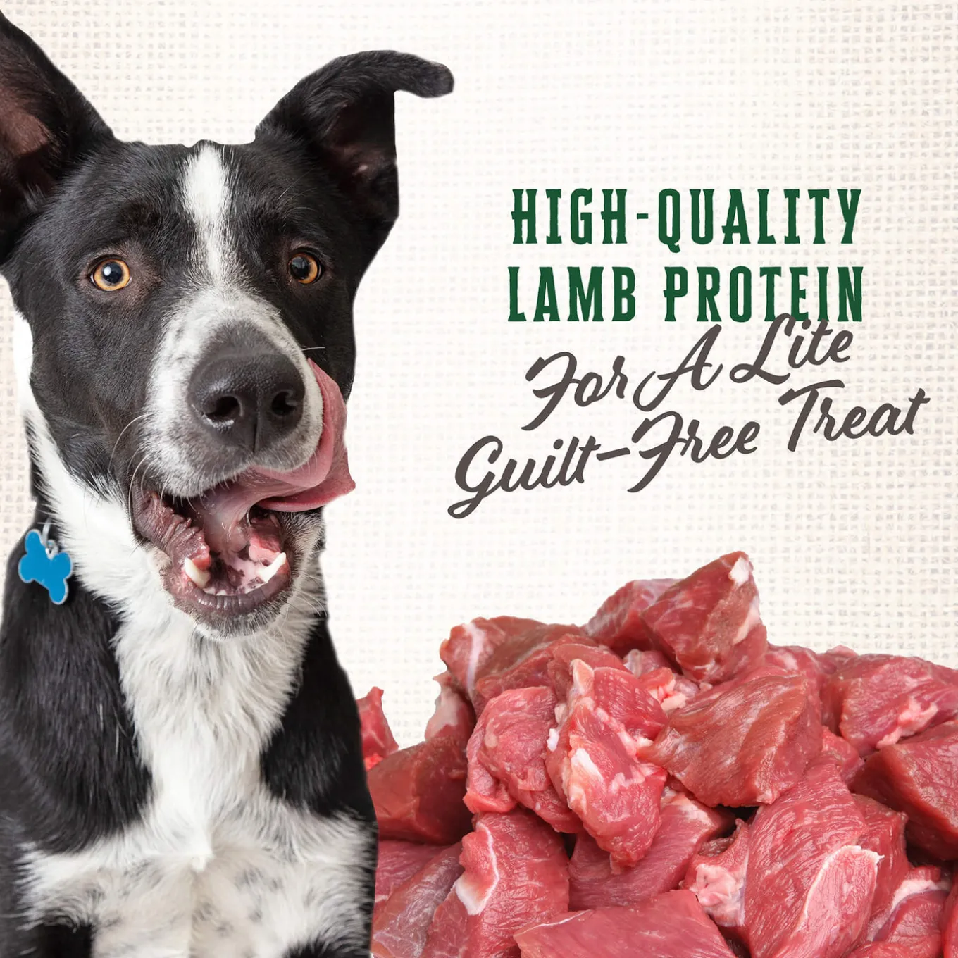 Wholesomes Gourmet Rewards Lite Bites Low Calorie Dog Treats