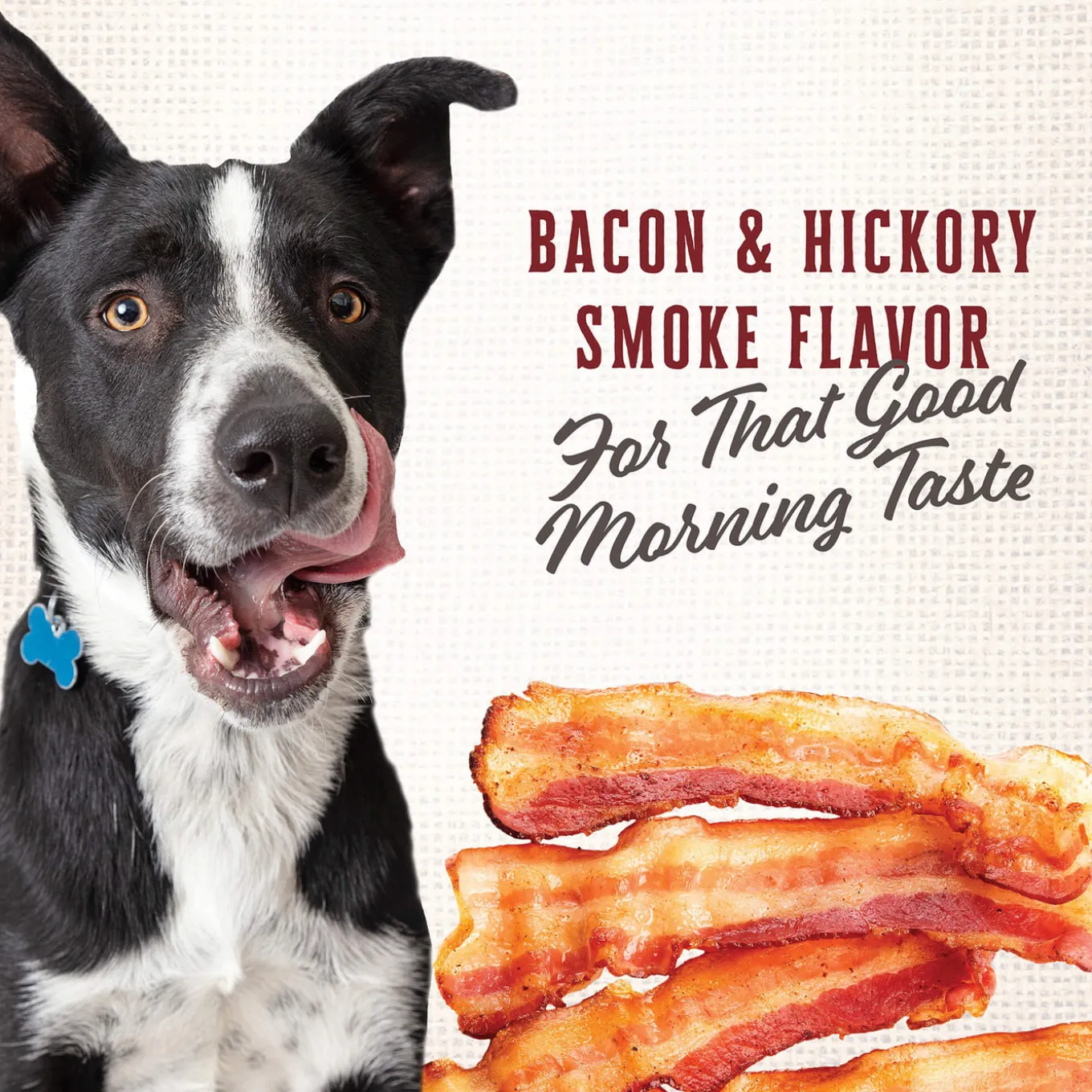 Wholesomes Gourmet Rewards Oven Baked Dog Treats