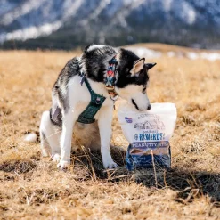 Wholesomes Gourmet Rewards Oven Baked Dog Treats