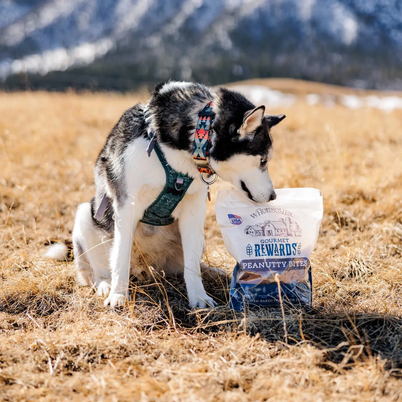 Wholesomes Gourmet Rewards Oven Baked Dog Treats