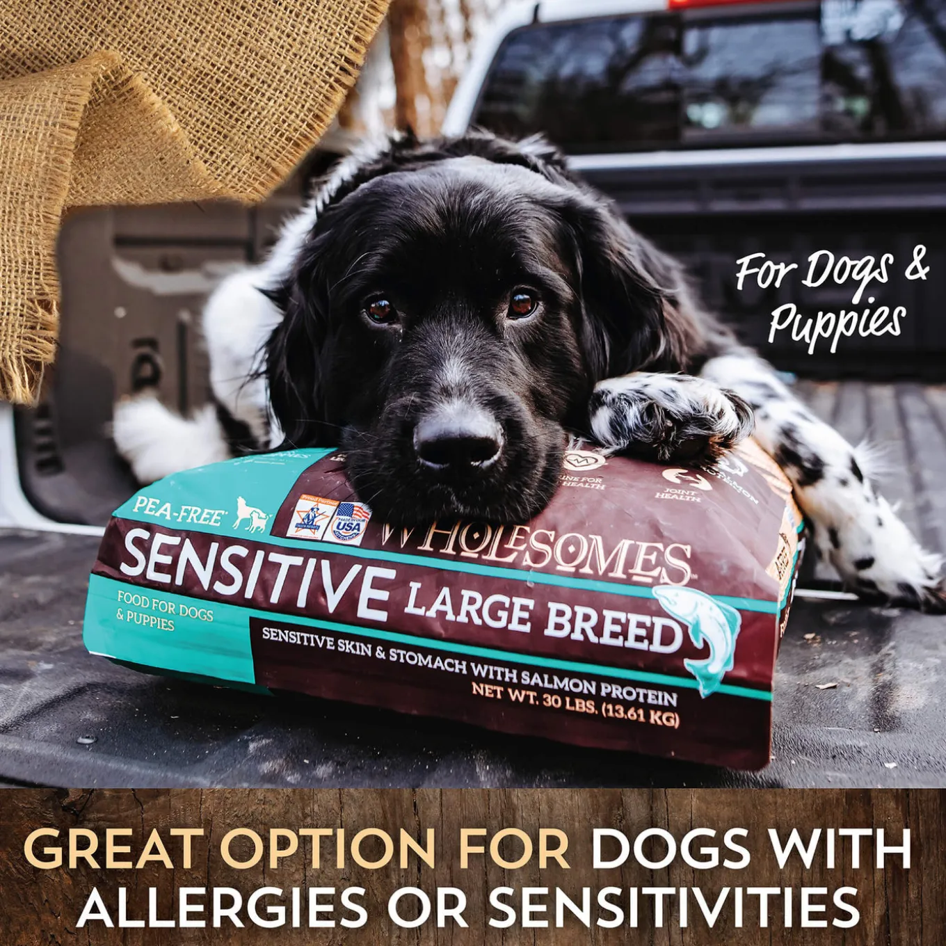 Wholesomes Sensitive Skin & Stomach Large Breed Dry Dog Food