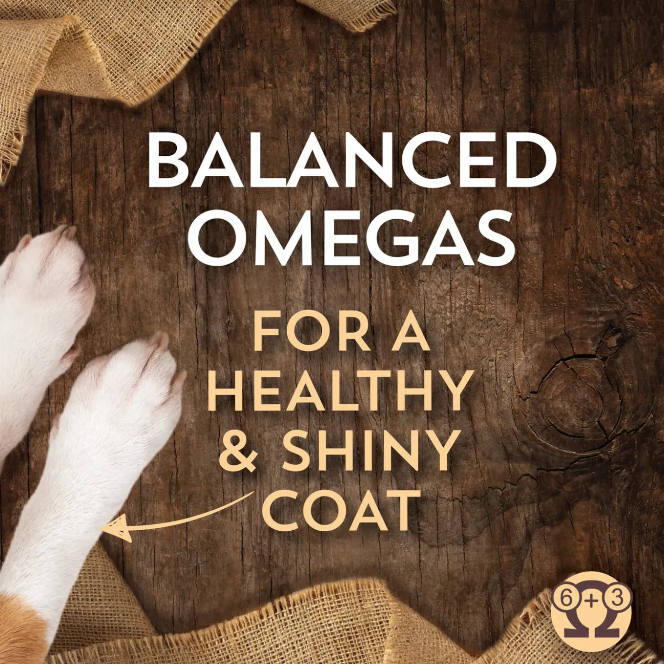 Wholesomes Sensitive Skin & Stomach Small Breed Dry Dog Food