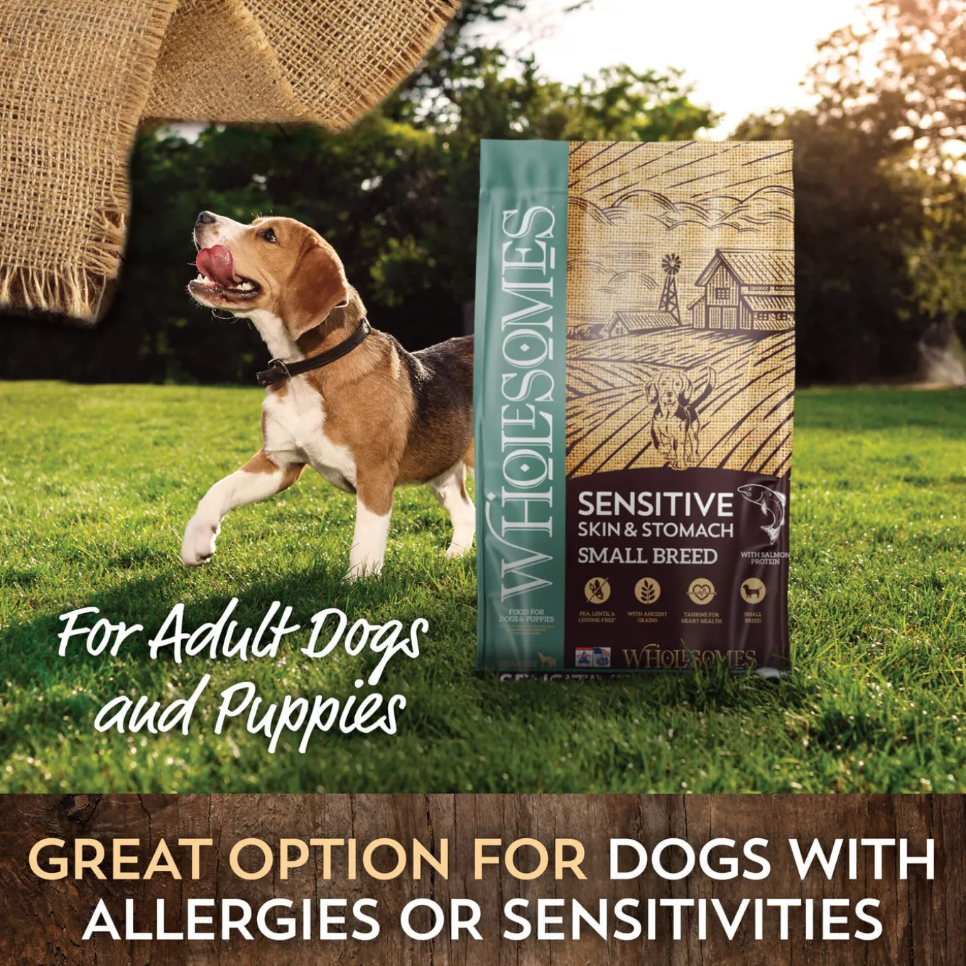 Wholesomes Sensitive Skin & Stomach Small Breed Dry Dog Food