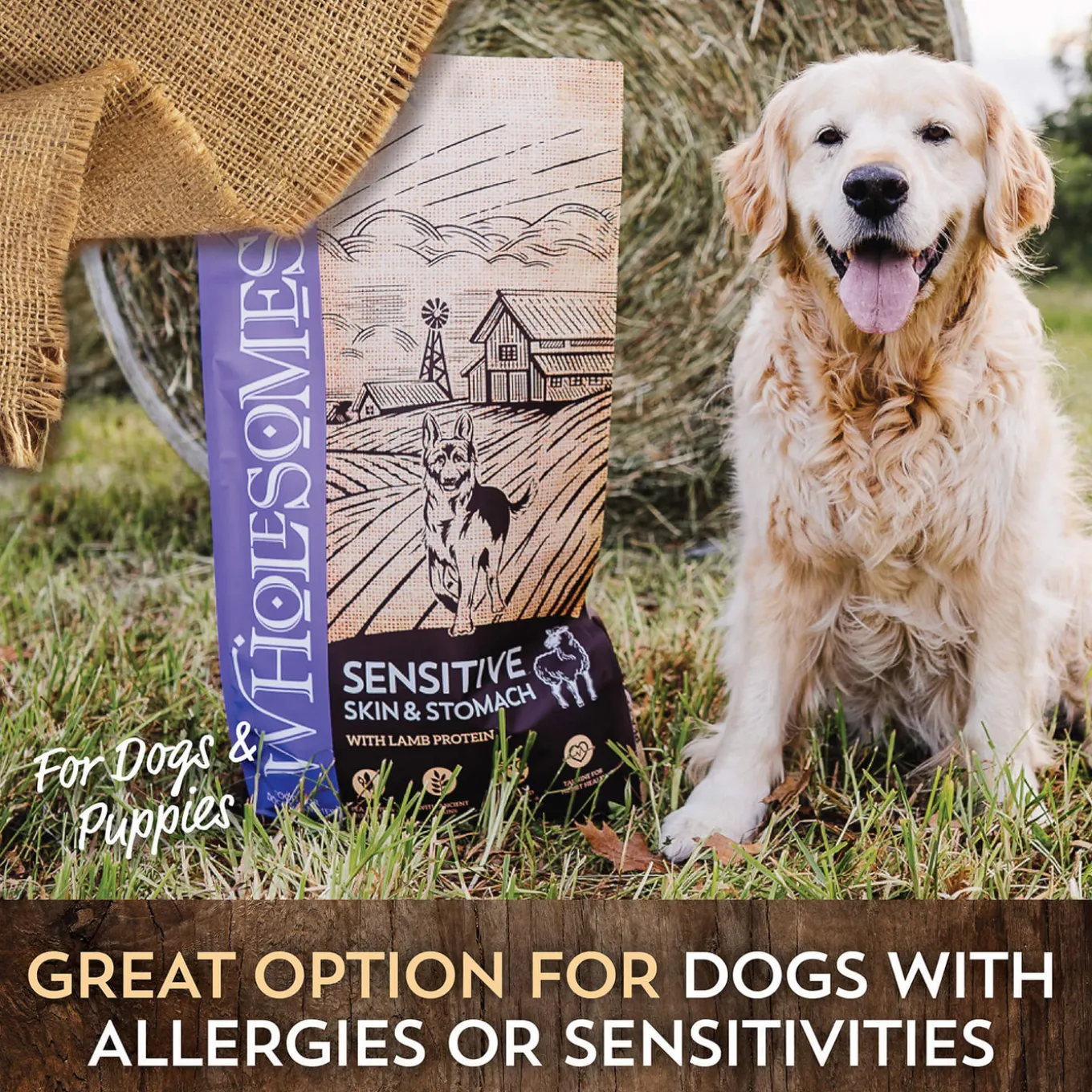 Wholesomes Sensitive Skin & Stomach Dry Dog Food