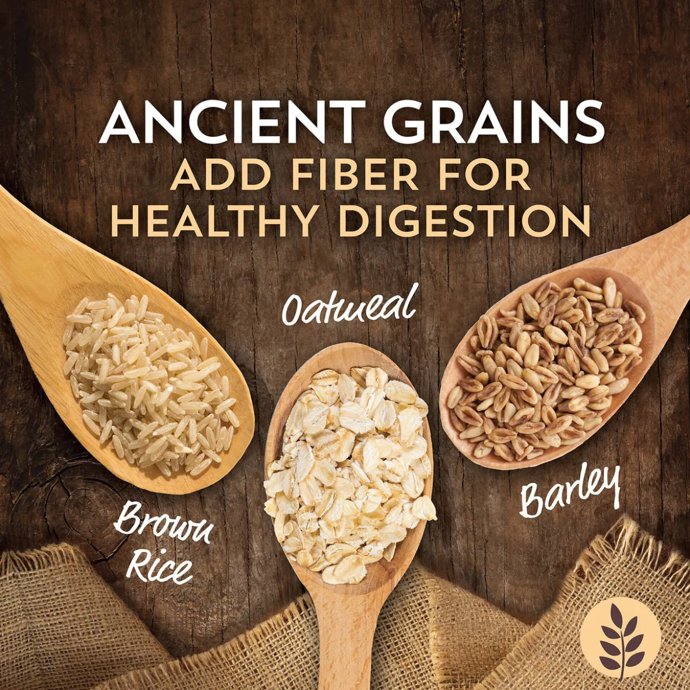 Wholesomes Sensitive Skin & Stomach Dry Dog Food