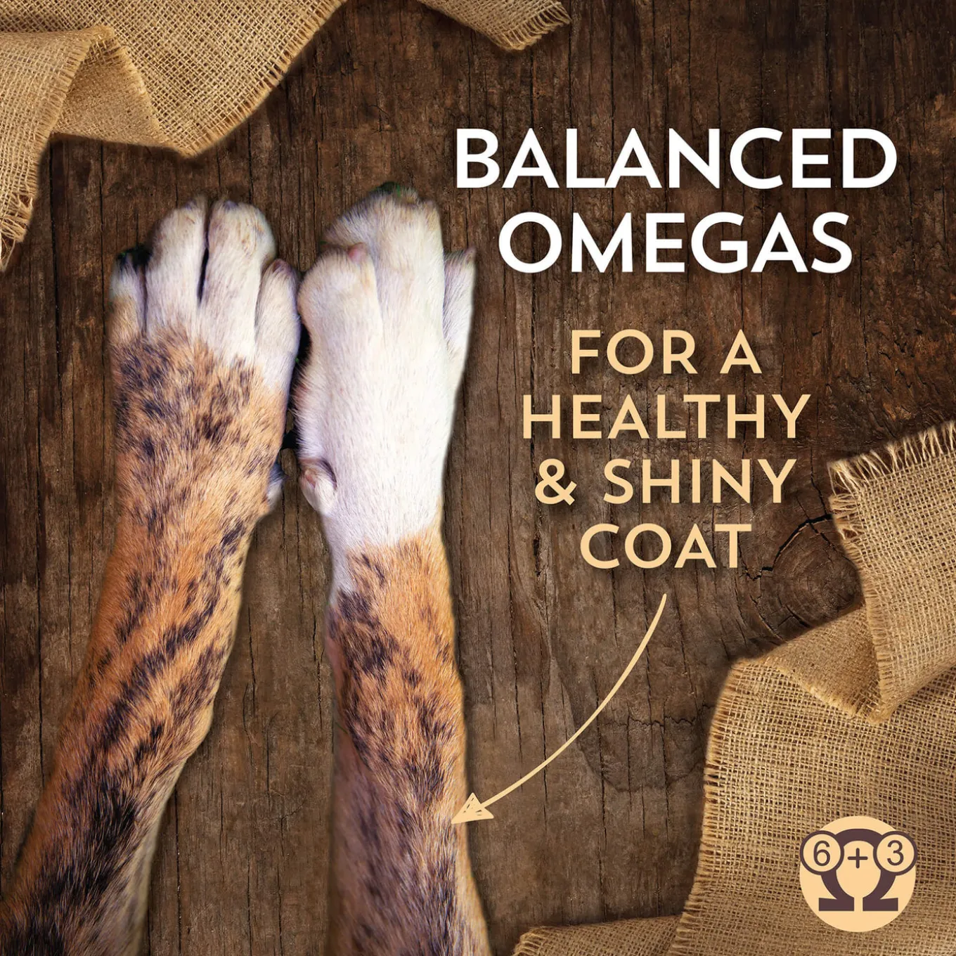 Wholesomes Sensitive Skin & Stomach Dry Dog Food
