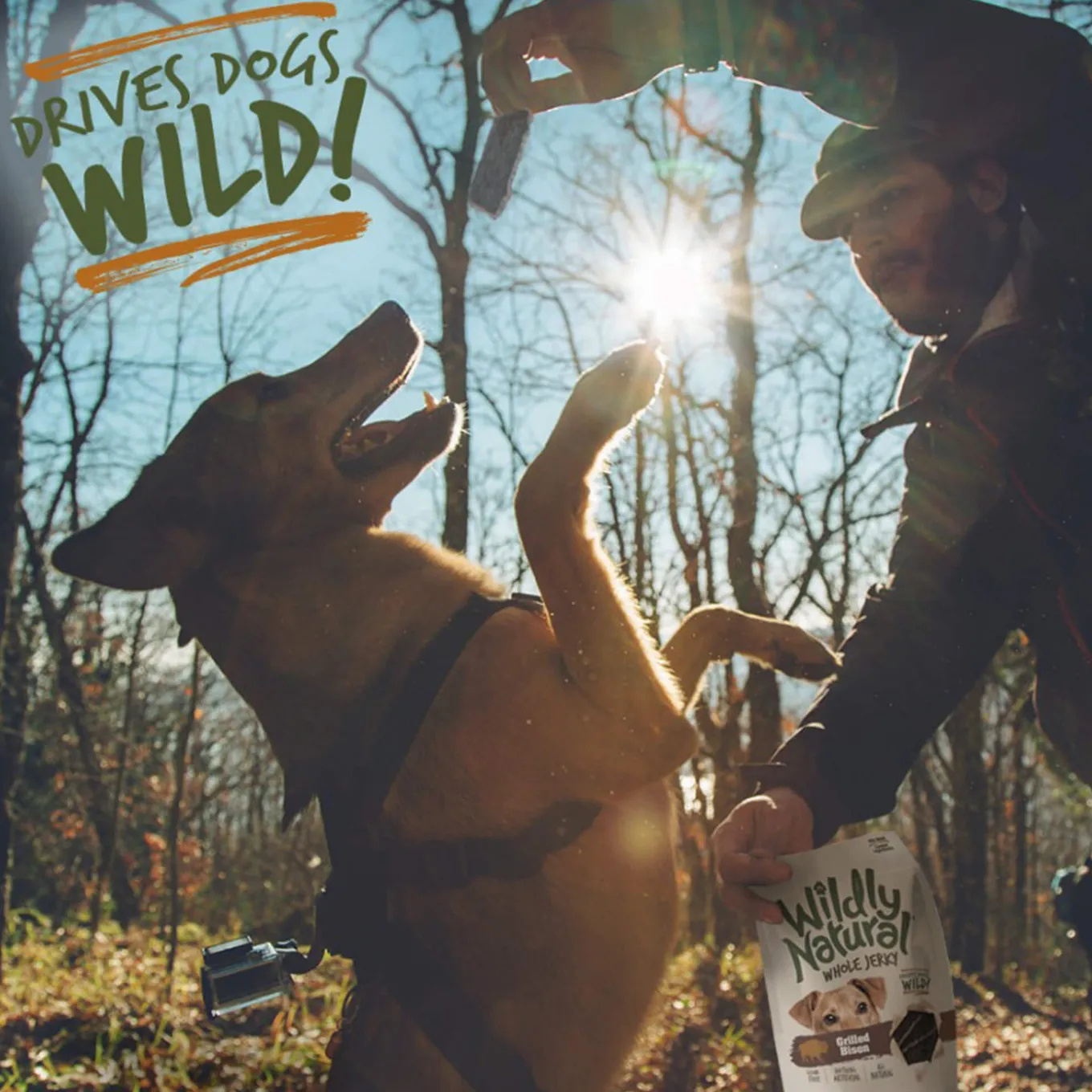 Wildly Natural Whole Jerky Dog Treats