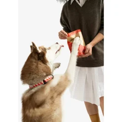 Winnie Lou Crunchy Organic Dog Treats