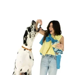 Winnie Lou Jerky Treats for Dogs
