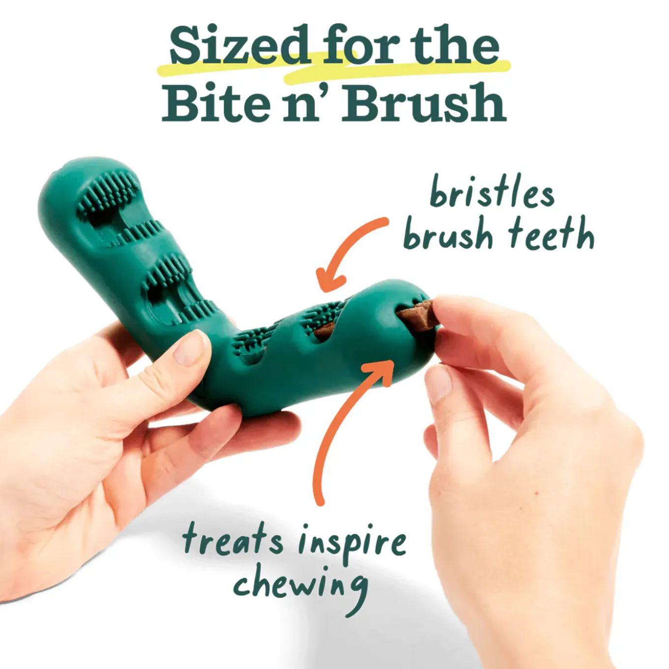 Woof Bite and Brush for Dogs