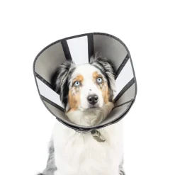 ZenPet ZenCone Soft Recovery Collar for Dogs & Cats