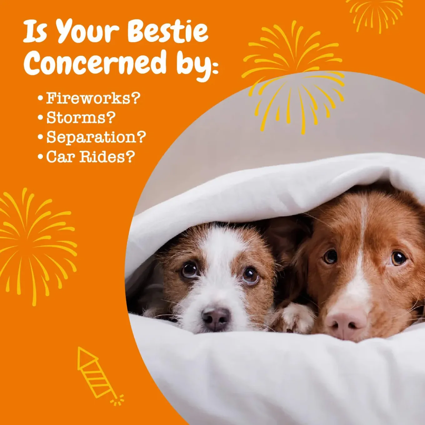 Zesty Paws Calming Bites for Dogs
