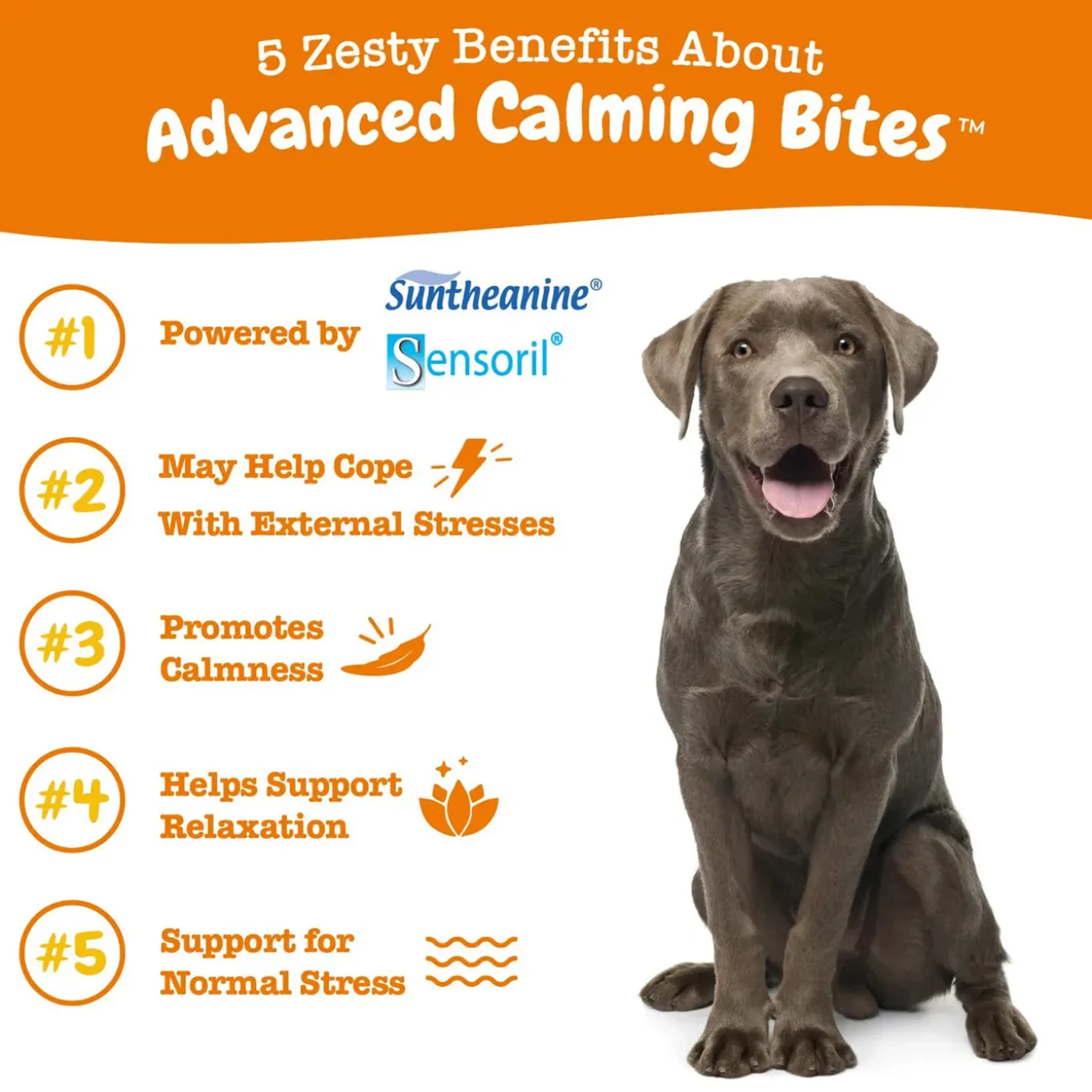 Zesty Paws Calming Bites for Dogs