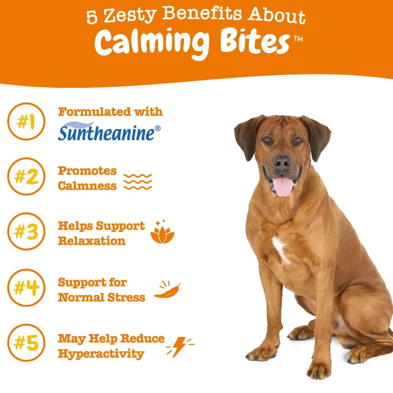 Zesty Paws Calming Bites for Dogs