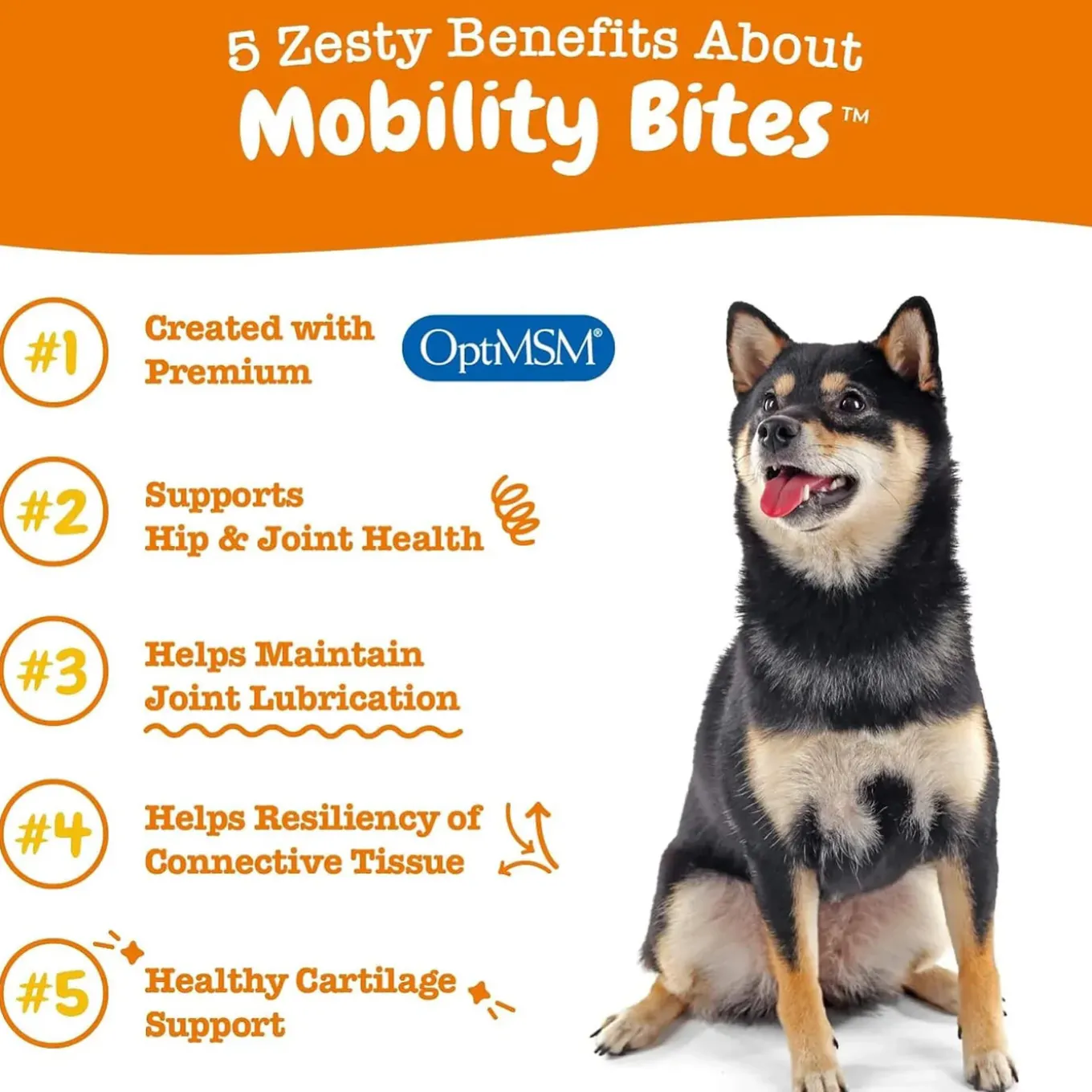 Zesty Paws Hip & Joint Bites for Dogs