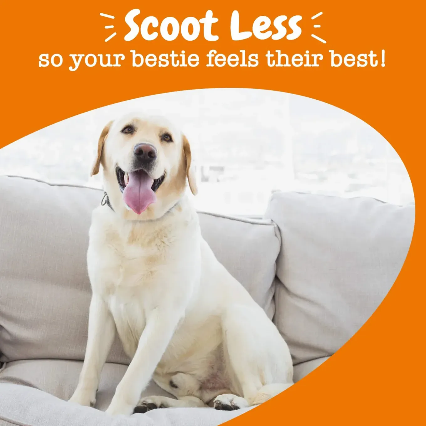 Zesty Paws Scoot Away Bites for Dogs