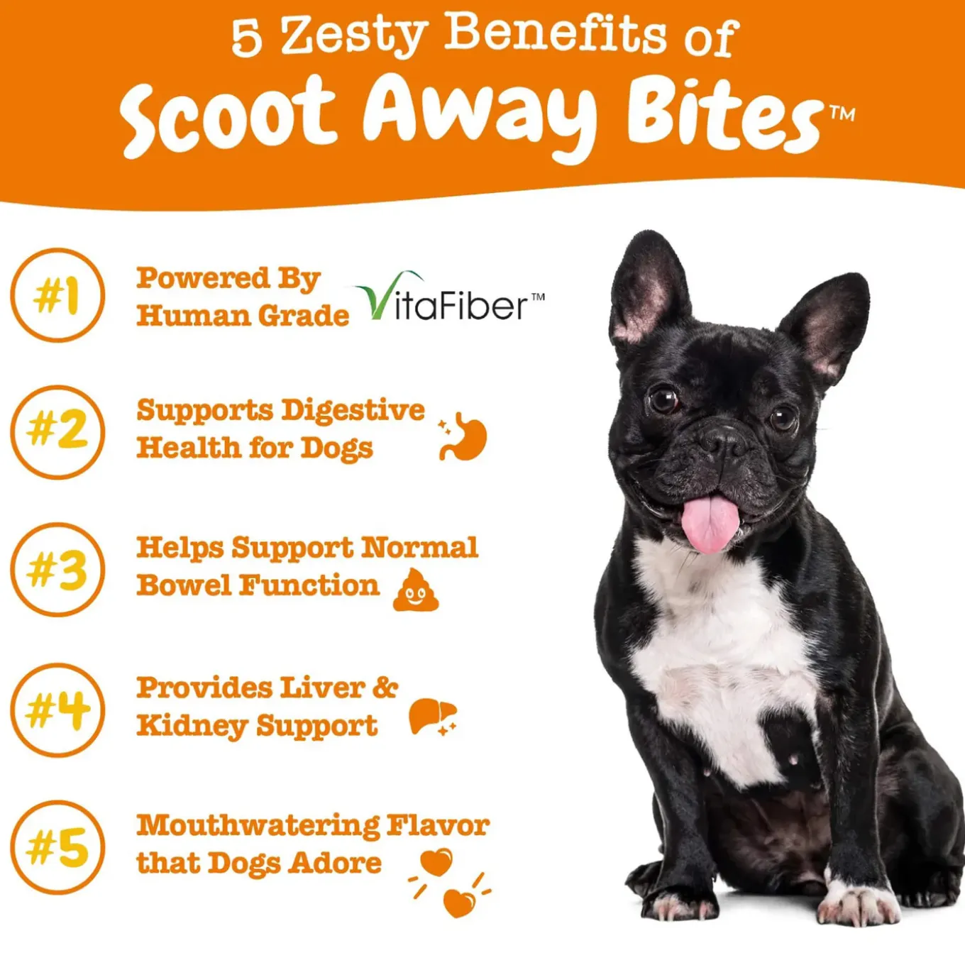 Zesty Paws Scoot Away Bites for Dogs