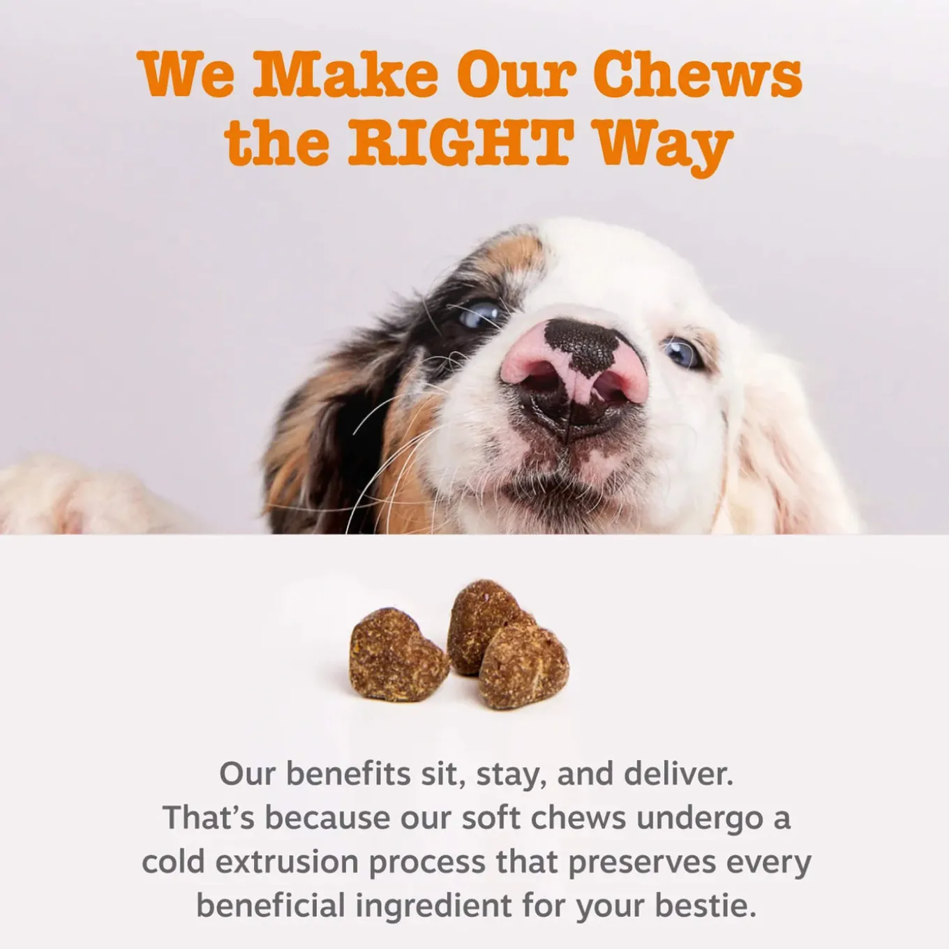 Zesty Paws Turmeric Curcumin Bites for Dogs
