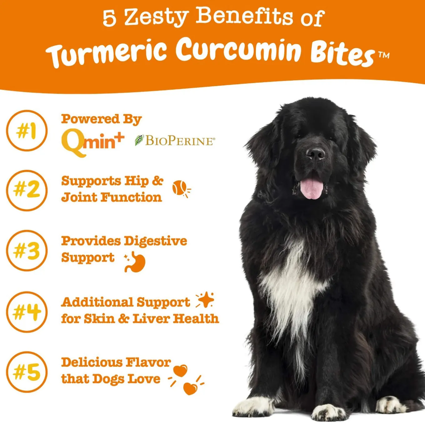 Zesty Paws Turmeric Curcumin Bites for Dogs