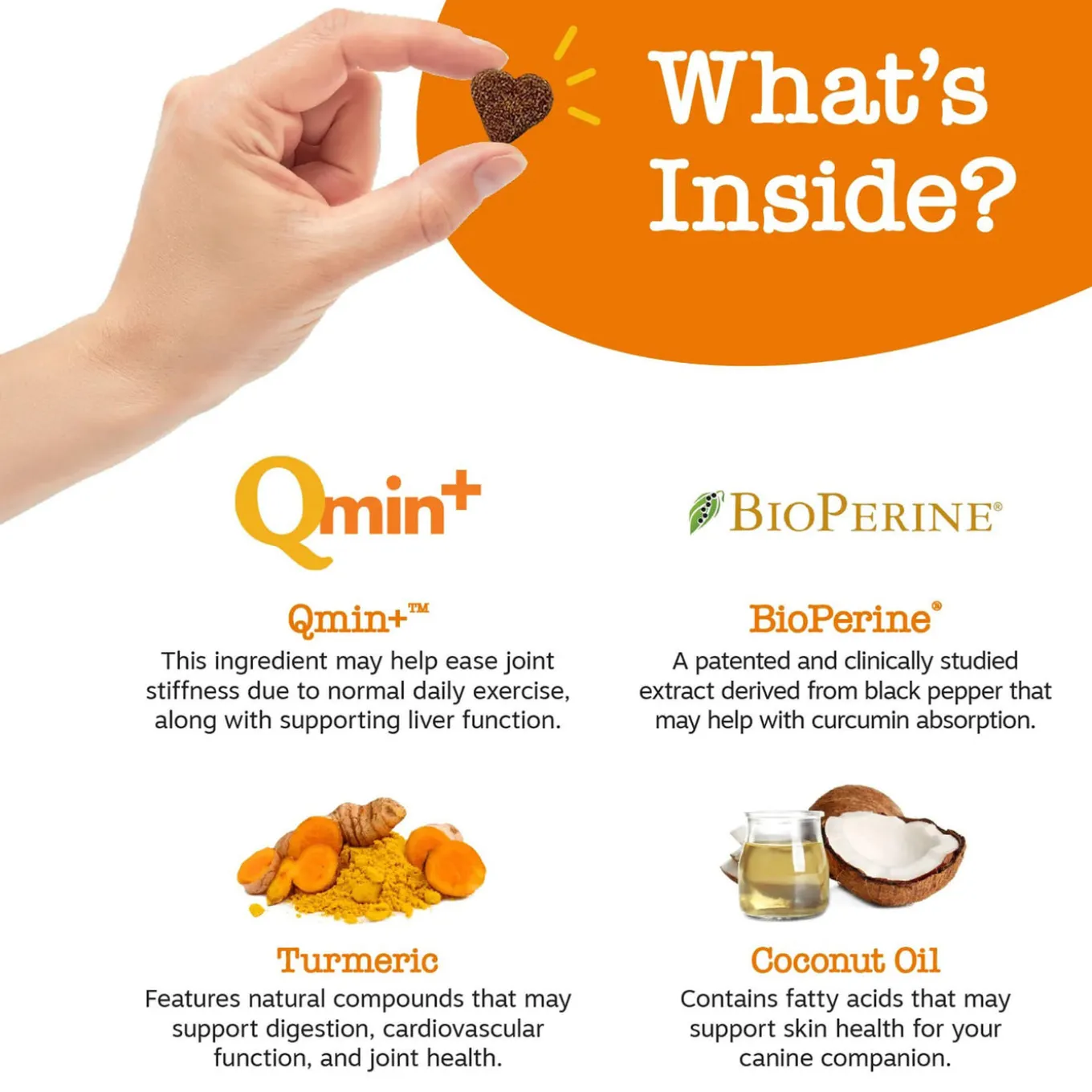 Zesty Paws Turmeric Curcumin Bites for Dogs
