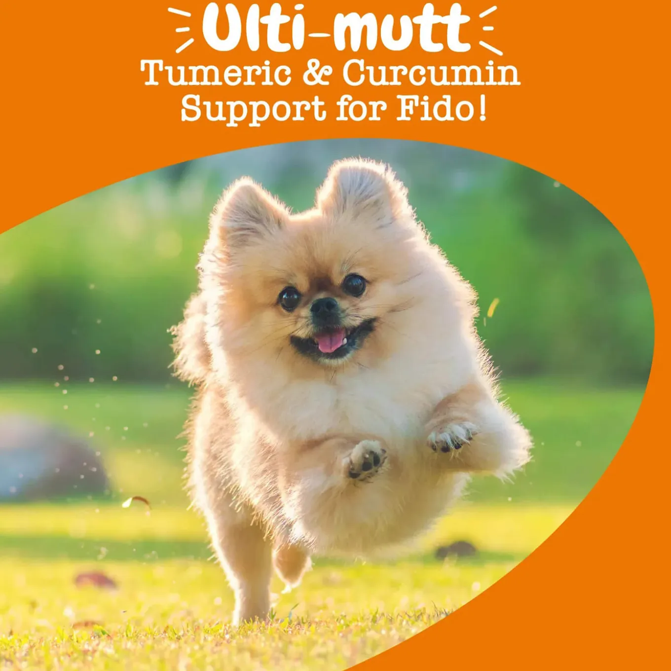 Zesty Paws Turmeric Curcumin Bites for Dogs