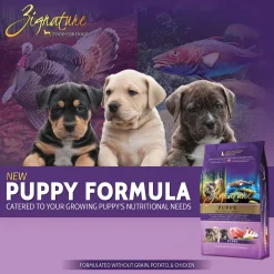 Zignature Grain Free Dry Puppy Food