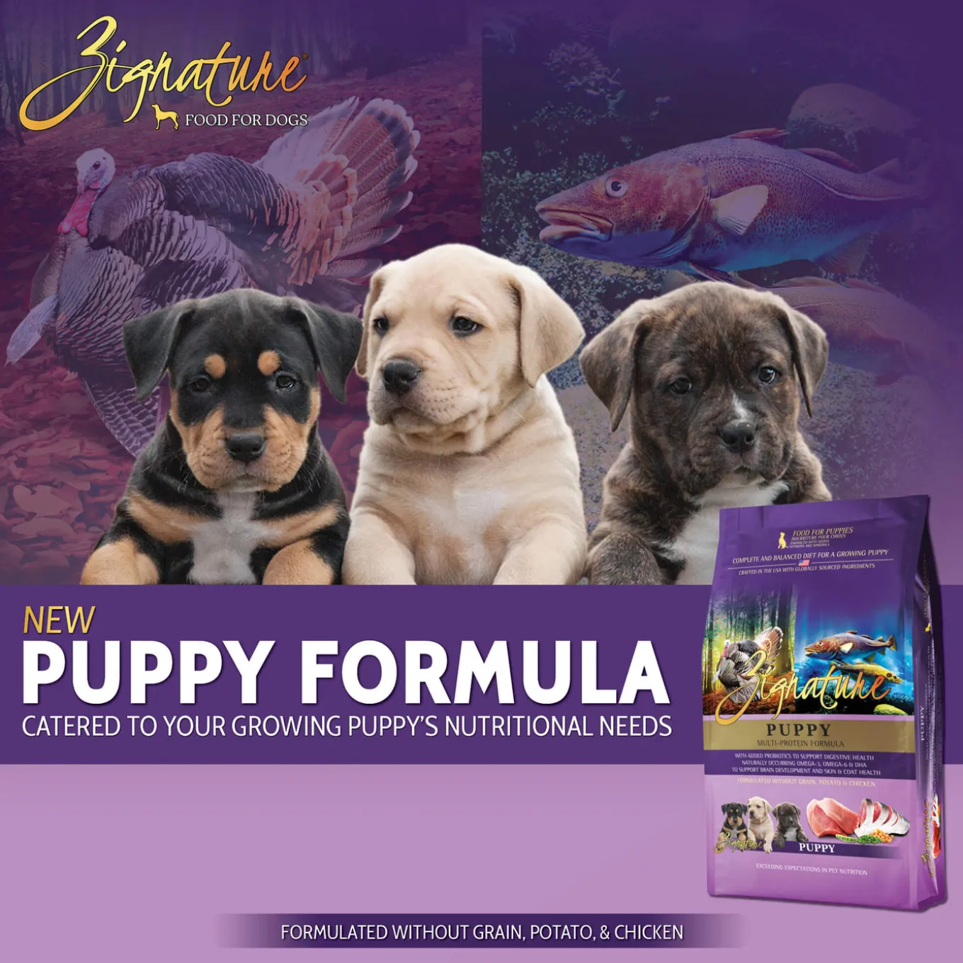 Zignature Grain Free Dry Puppy Food
