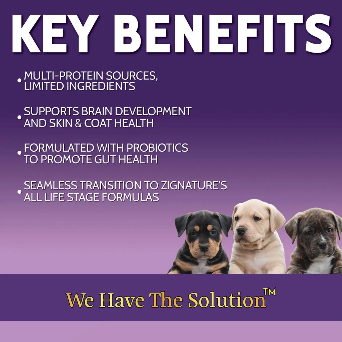 Zignature Grain Free Dry Puppy Food