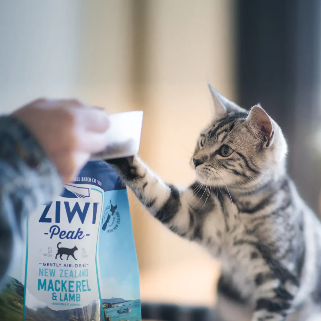 ZiwiPeak Daily Cuisine Grain-Free Air-Dried Cat Food