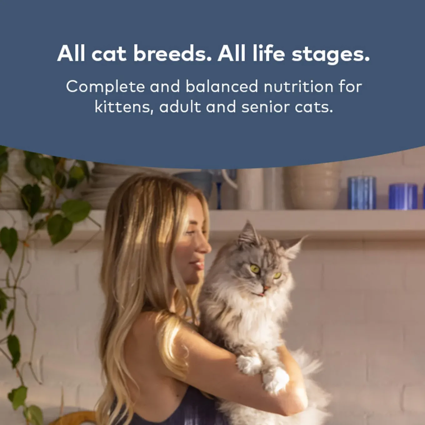 ZiwiPeak Steam & Dried Cat Food