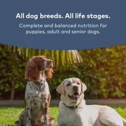 ZiwiPeak Steam & Dried Dog Food