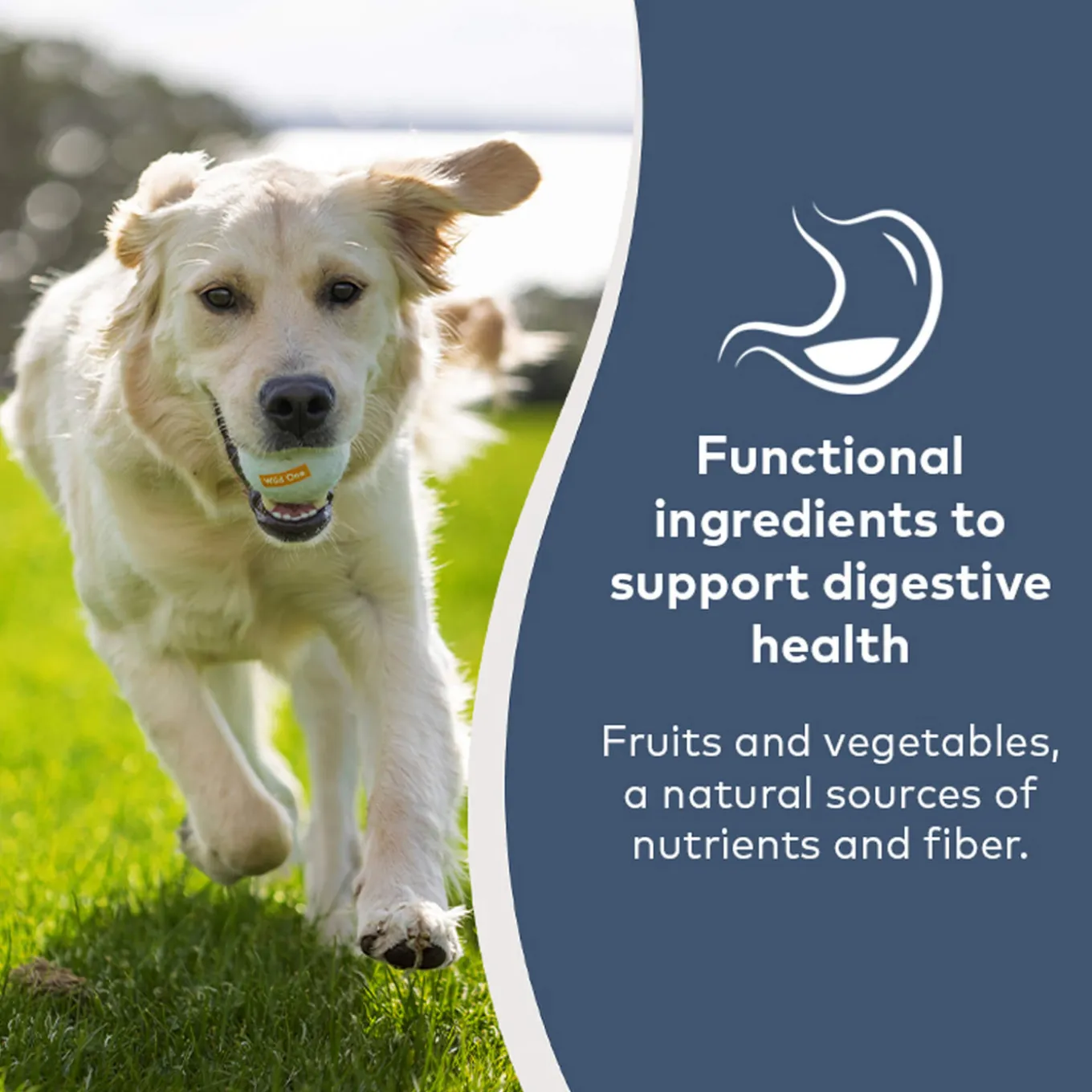 ZiwiPeak Steam & Dried Dog Food
